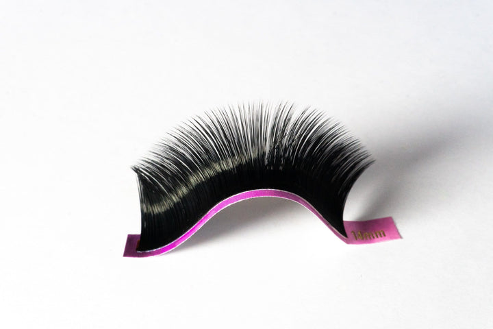 RAPID Volume C Curl Lash Tray | Volume Eyelash Extensions