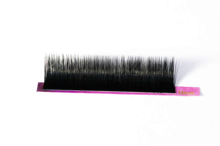 RAPID Volume C Curl Lash Tray | Volume Eyelash Extensions