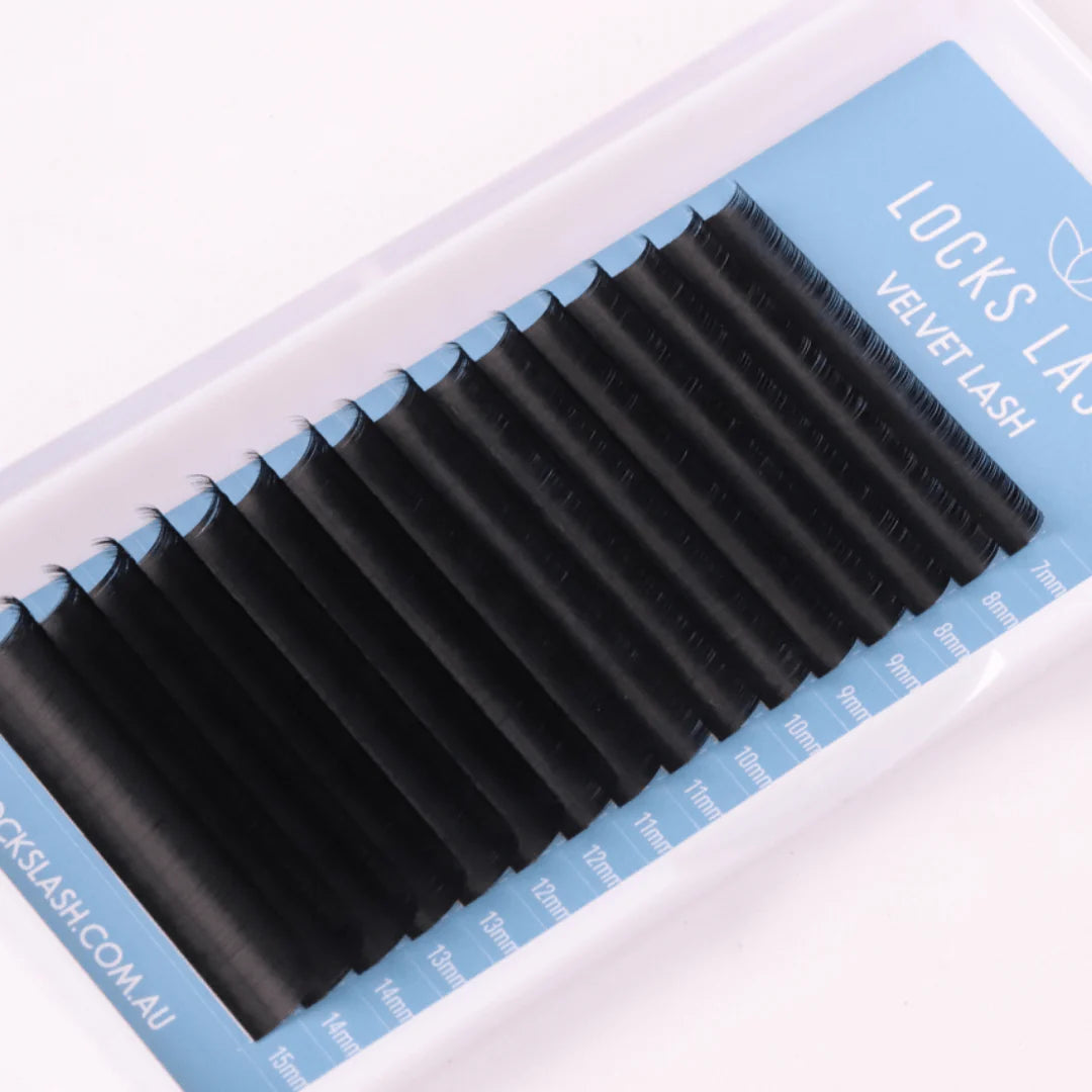 NEW Velvet Volume Lash Multi Trays | Volume Eyelash Extensions