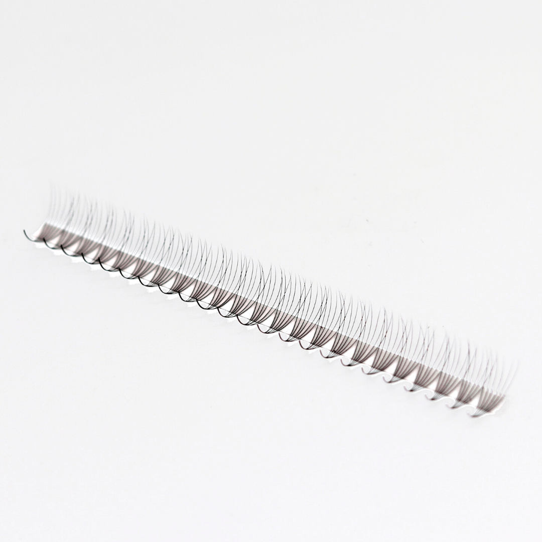 Diva Pro Express Premade Lash Fans | 1000 Fans per box!